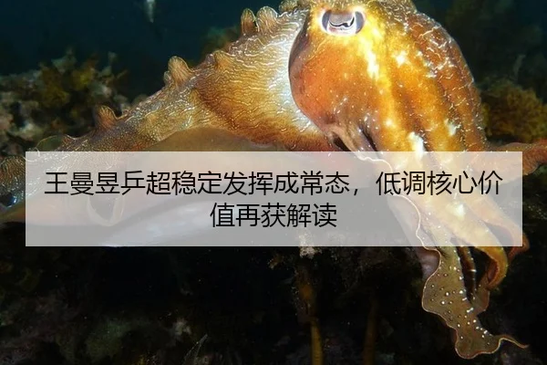 王曼昱乒超稳定发挥成常态，低调核心价值再获解读